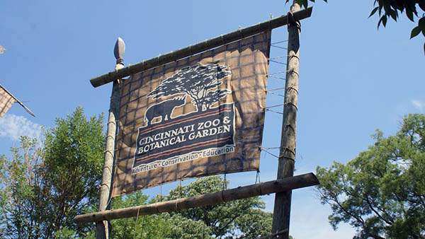 charter bus cincinnati ohio attractions cincinnati zoo