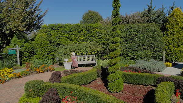 charter bus lexington kentucky attractions arboretum