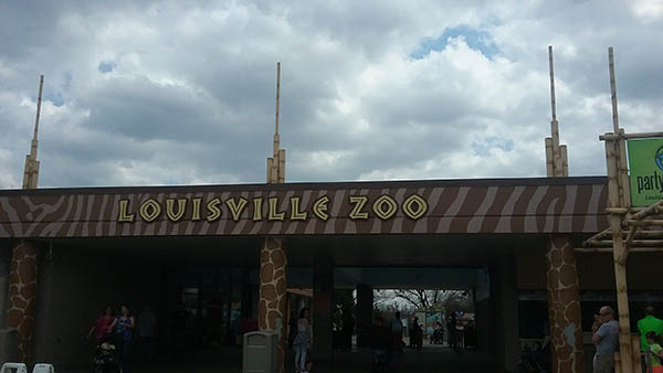 charter bus louisville kentucky attractions louisville zoo