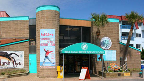 charter bus tybee island georgia attractions tybee island marine science center