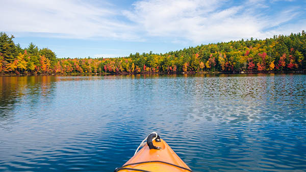 barons bus tickets goshen in attraction fidler pond park