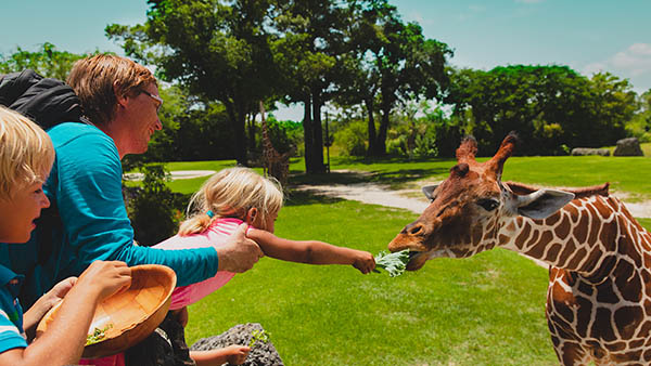 barons bus tickets south bend in potawatomi zoo