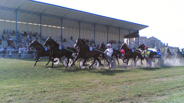 barons bus tickets city attractions nappanee raceway