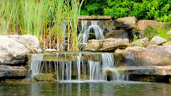 barons bus tickets marion in gardens in matter park