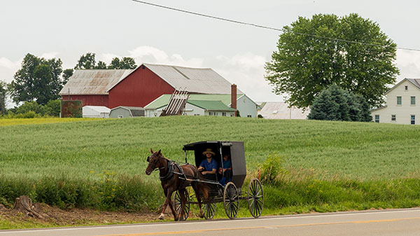 barons bus tickets city attractions berne indiana swiss heritage village and museum